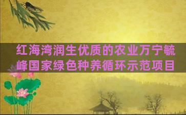 红海湾润生优质的农业万宁毓峰国家绿色种养循环示范项目