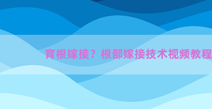 育根嫁接？根部嫁接技术视频教程