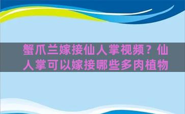 蟹爪兰嫁接仙人掌视频？仙人掌可以嫁接哪些多肉植物