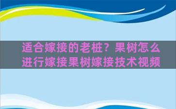 适合嫁接的老桩？果树怎么进行嫁接果树嫁接技术视频