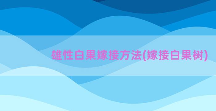 雄性白果嫁接方法(嫁接白果树)