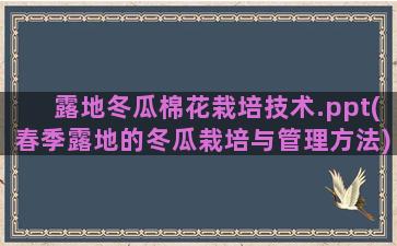 露地冬瓜棉花栽培技术.ppt(春季露地的冬瓜栽培与管理方法)