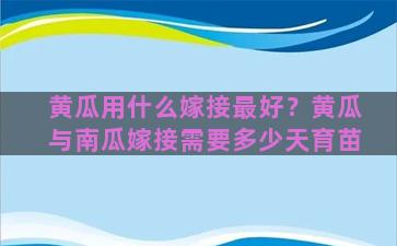 黄瓜用什么嫁接最好？黄瓜与南瓜嫁接需要多少天育苗